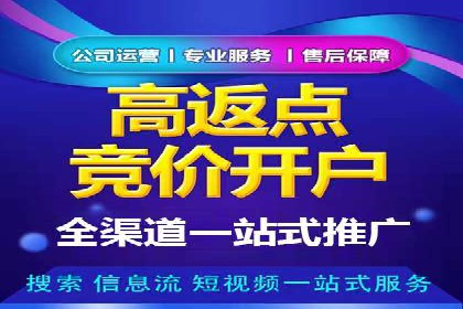 某企业SEM广告投放的ROI提升策略及效果展示